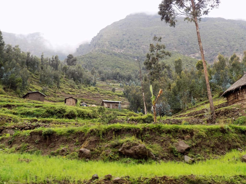 This photo shows lush green gardens with mountains in the background, the summits of which are hidden in the clouds