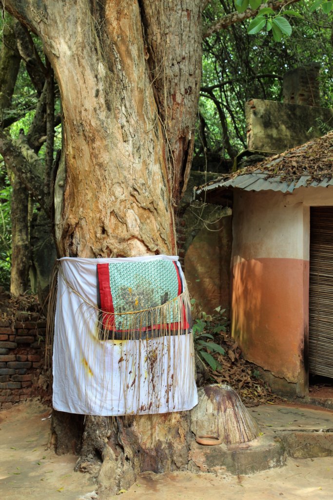 This photo shows the sacred tree wrapped in cotton fabric with streams of animal blood where sacrifices have been made