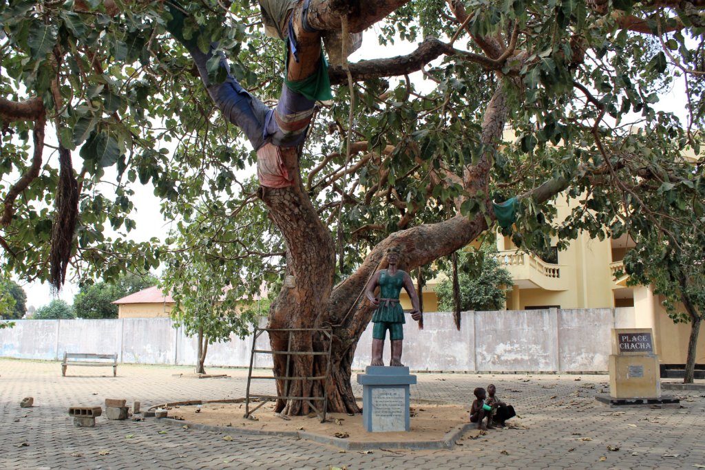 This photo shows Place Chacha with a huge tree in the centre